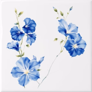 Blue Morning Glory Flowers Ceramic Wall Tile