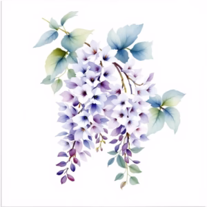 Wisteria Flower Ceramic Wall Tile