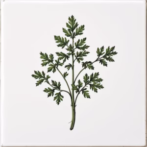 Parsley Herb Design Ceramic Wall Tile