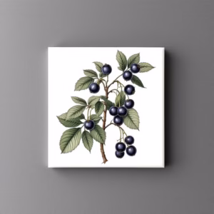 Sloe Berries Design Ceramic Wall Tile