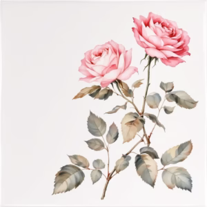 Hot Pink Rose Ceramic Wall Tile