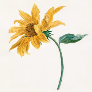 Branch With A Sunflower hand-decorated ceramic wall tile