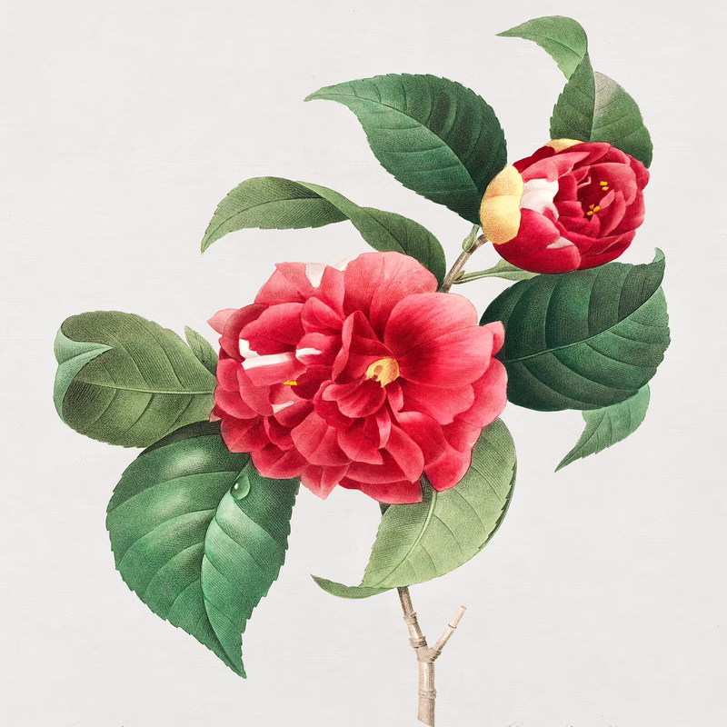 Choix Des Plus Belles Fleurs Et Des Plus Beaux Fruits hand-decorated ceramic wall tile