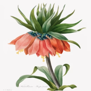 Crown Imperial Fritillary hand-decorated ceramic wall tile