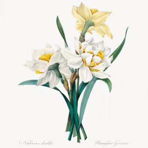 Double Daffodil hand-decorated ceramic wall tile