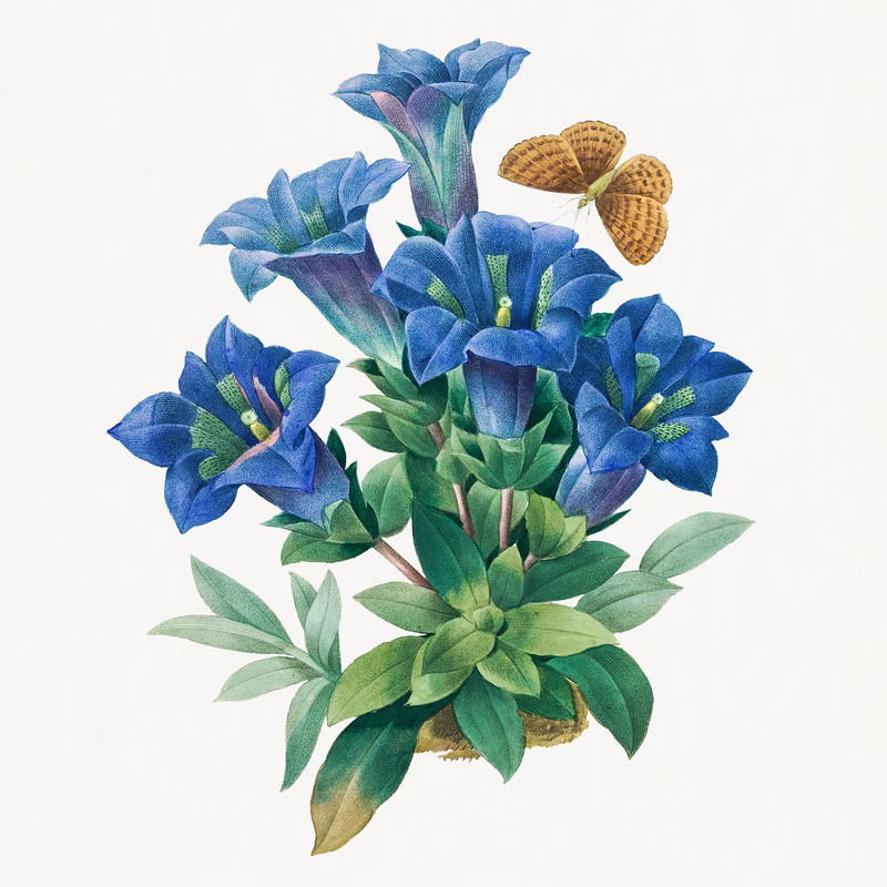 Gentiana Acaulis hand-decorated ceramic wall tile