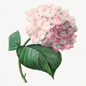 Hydrangea hand-decorated ceramic wall tile