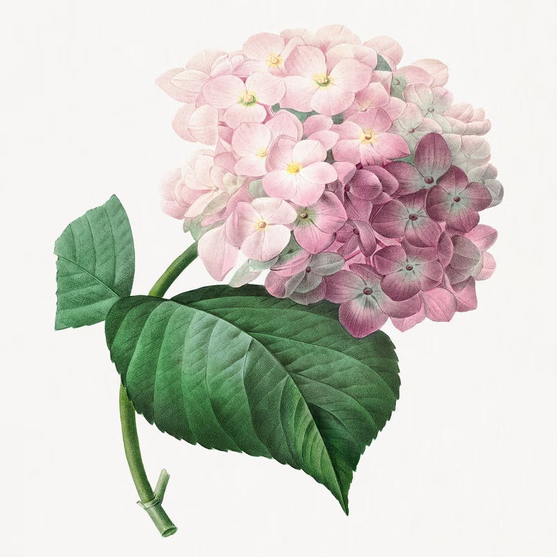 Hydrangea hand-decorated ceramic wall tile