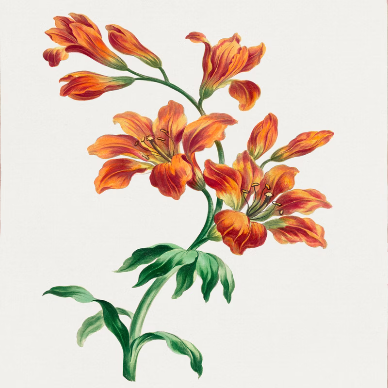 Large Orange Lily hand-decorated ceramic wall tile