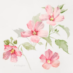 Study Of Mallow hand-decorated ceramic wall tile