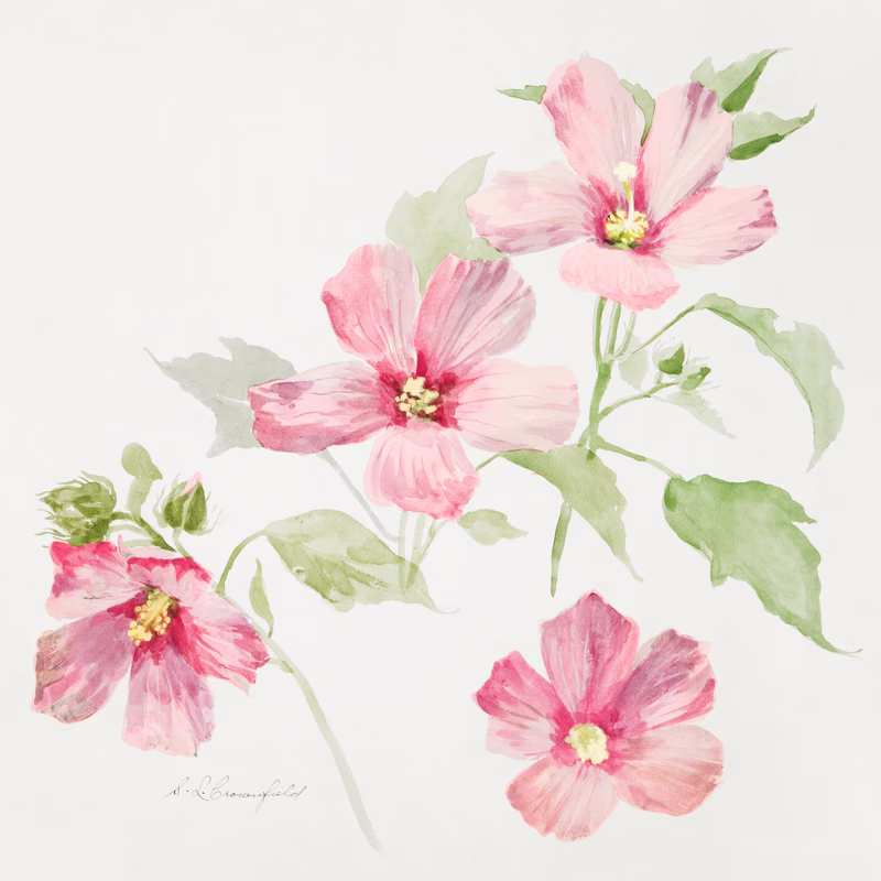 Study Of Mallow hand-decorated ceramic wall tile
